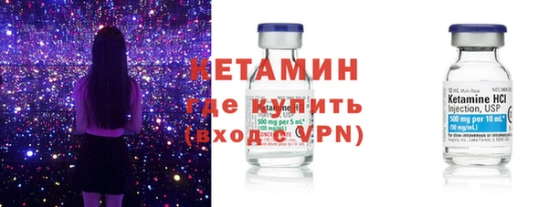 индика Богородицк