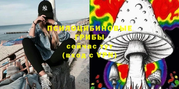 таблы Богородск