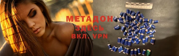 индика Богородицк