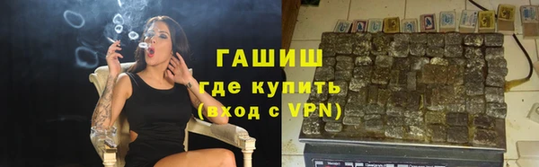 индика Богородицк