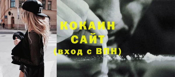 индика Богородицк