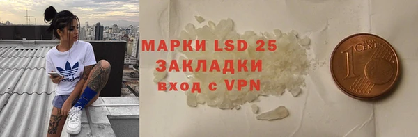индика Богородицк