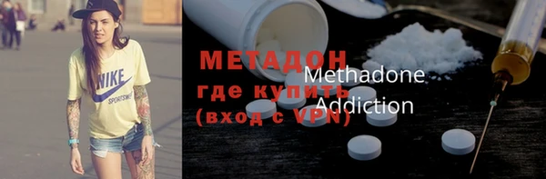 индика Богородицк