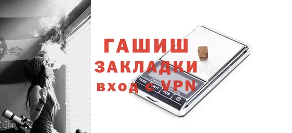 индика Богородицк