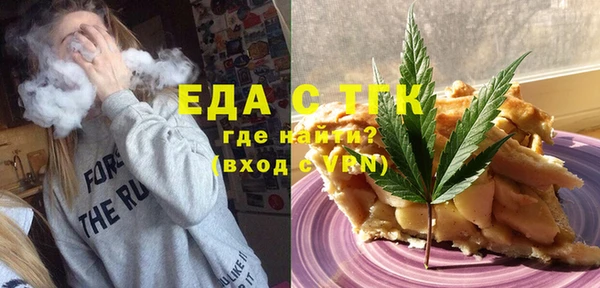 индика Богородицк