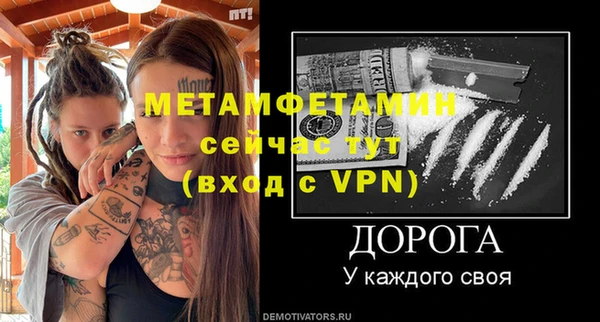 индика Богородицк