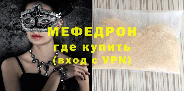 индика Богородицк