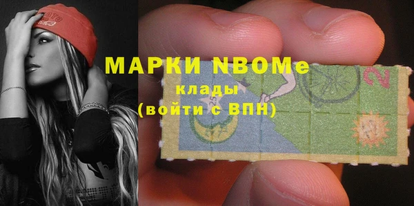 индика Богородицк