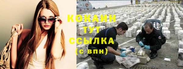 индика Богородицк