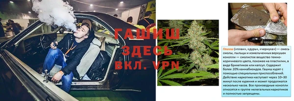 индика Богородицк