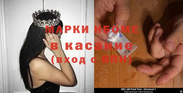индика Богородицк