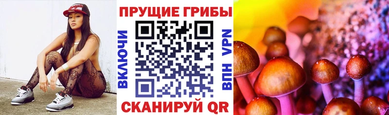 Купить  Нижние Серги  Галлюциногенные грибы прущие грибы 